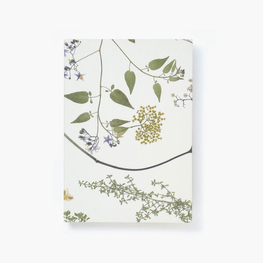 A5 notebook -  Aseedonclöud 04