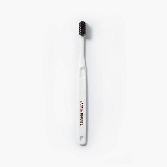 Horsehair toothbrush